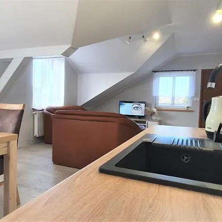 Rudnik-apartamenty Z Basenem, Sauna I Bania Apartamento
